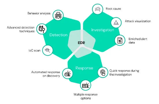 Endpoint Behavior Analysis