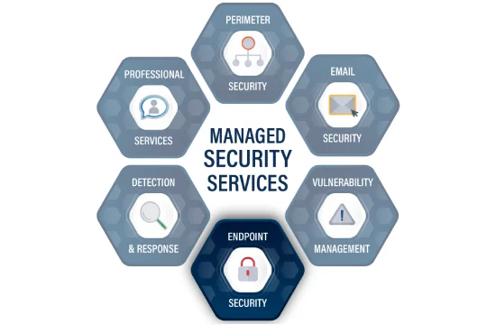 Managed Security Services