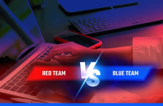 Red Team vs Blue Team
