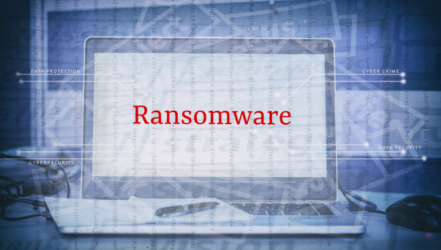 Meaning Of Ransomware