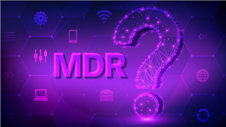 Managed Detection and Response (MDR)