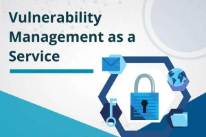 Vulnerability Management 