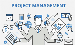  IT Project Management Services