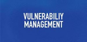 Open Source Vulnerability Management 