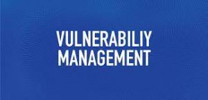 Open Source Vulnerability Management 