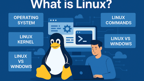 Why Linux Still Reigns in the Tech World