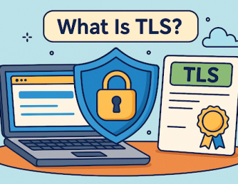 What is TLS? A Guide to Secure Online Communication