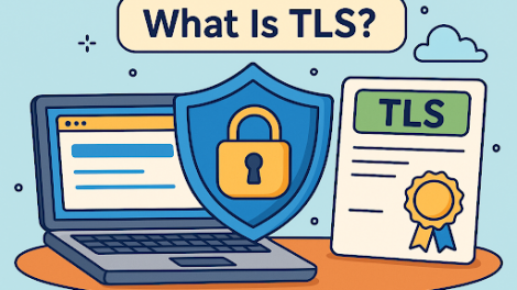 What is TLS? A Guide to Secure Online Communication