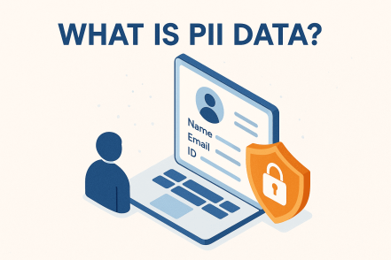 What is PII Data? A Complete Guide for Businesses and Cybersecurity Professionals