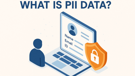 What is PII Data? A Complete Guide for Businesses and Cybersecurity Professionals