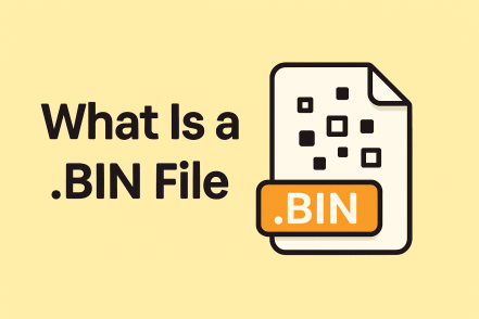 What Is a .BIN File? A Complete Guide for IT & Cybersecurity Leaders