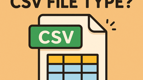 What Is a CSV File Type? A Complete Guide for Businesses
