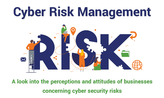 Cyber Risk Management