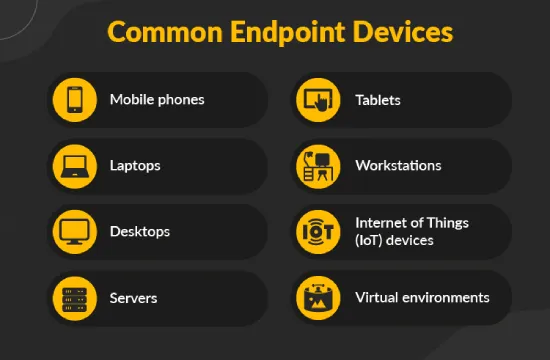 Endpoint Devices