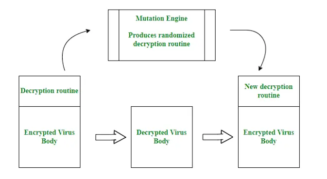 Polymorphic Virus