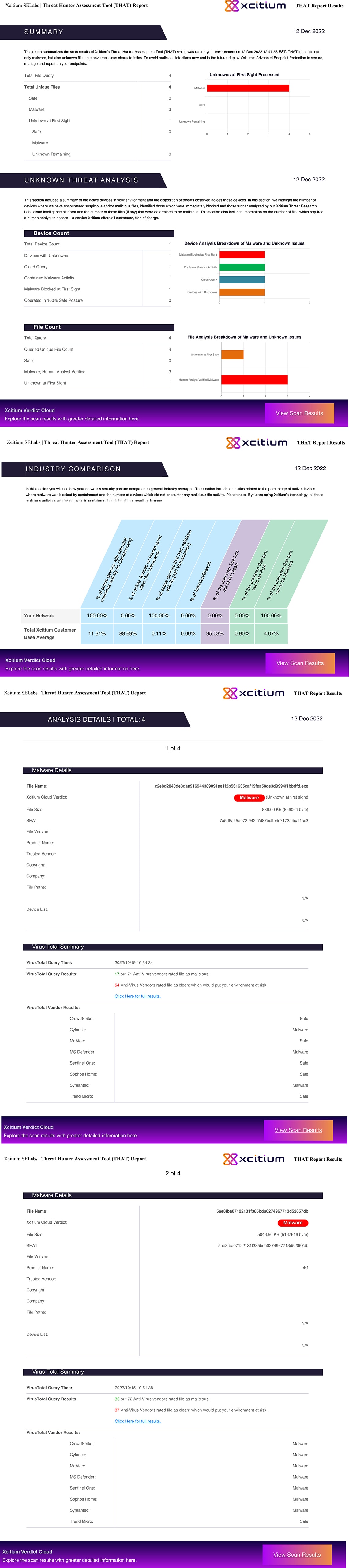 Sample Report