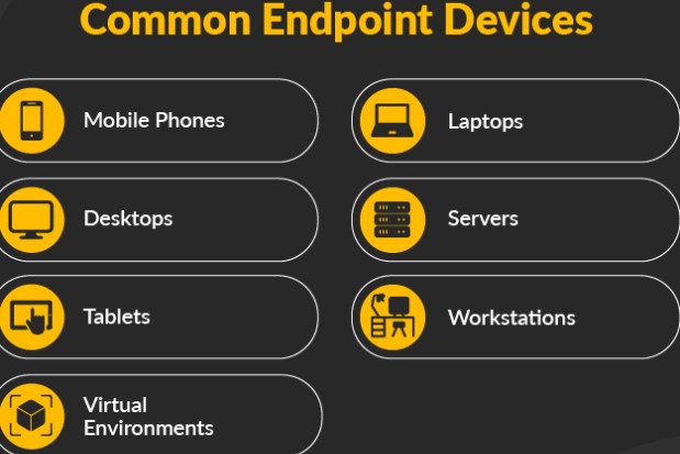 What are Examples of Endpoint Device?