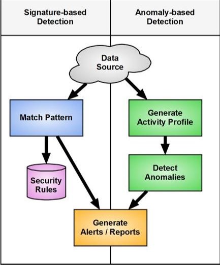 What Are Types Of Detection?